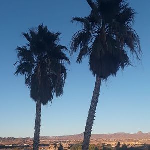 Meet your Posher, Sherry